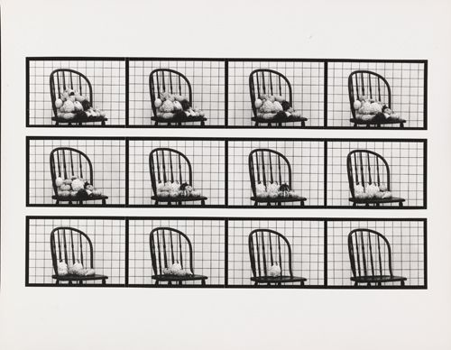 Hollis Frampton, Sixteen Studies from Vegetable Locomotion, 1975